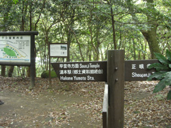 早雲公園の画像