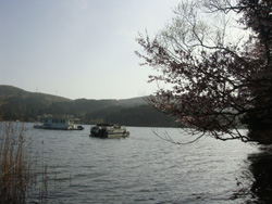 芦ノ湖畔の画像