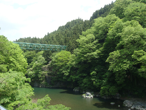 トロッコ電車からの景色の画像