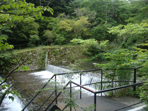 須雲川の画像