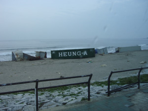 菖蒲田浜の画像